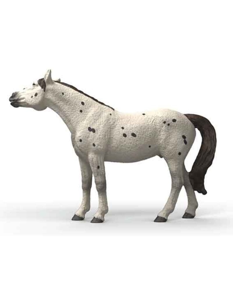 Schleich Schleich Horses 14916 - Knabstrupper ruin