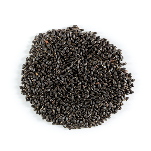 Nesia Basil Seeds, 100g