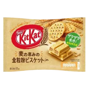 Nestle Kit Kat Digestive Biscuit, 113g