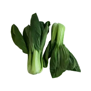 Shanghai Pak Choi