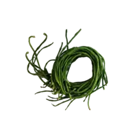 Kousenband Vers, 500g