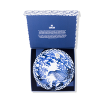 Ramen/Salad Bowl Gift Set Hawk, Ø25.2x7.7cm