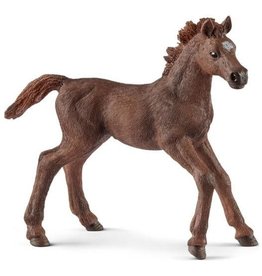 Schleich Schleich Horses 13857 - Engelse Volbloed veulen