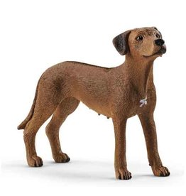 Schleich Schleich Dog 13895 - Rhodesian Ridgeback