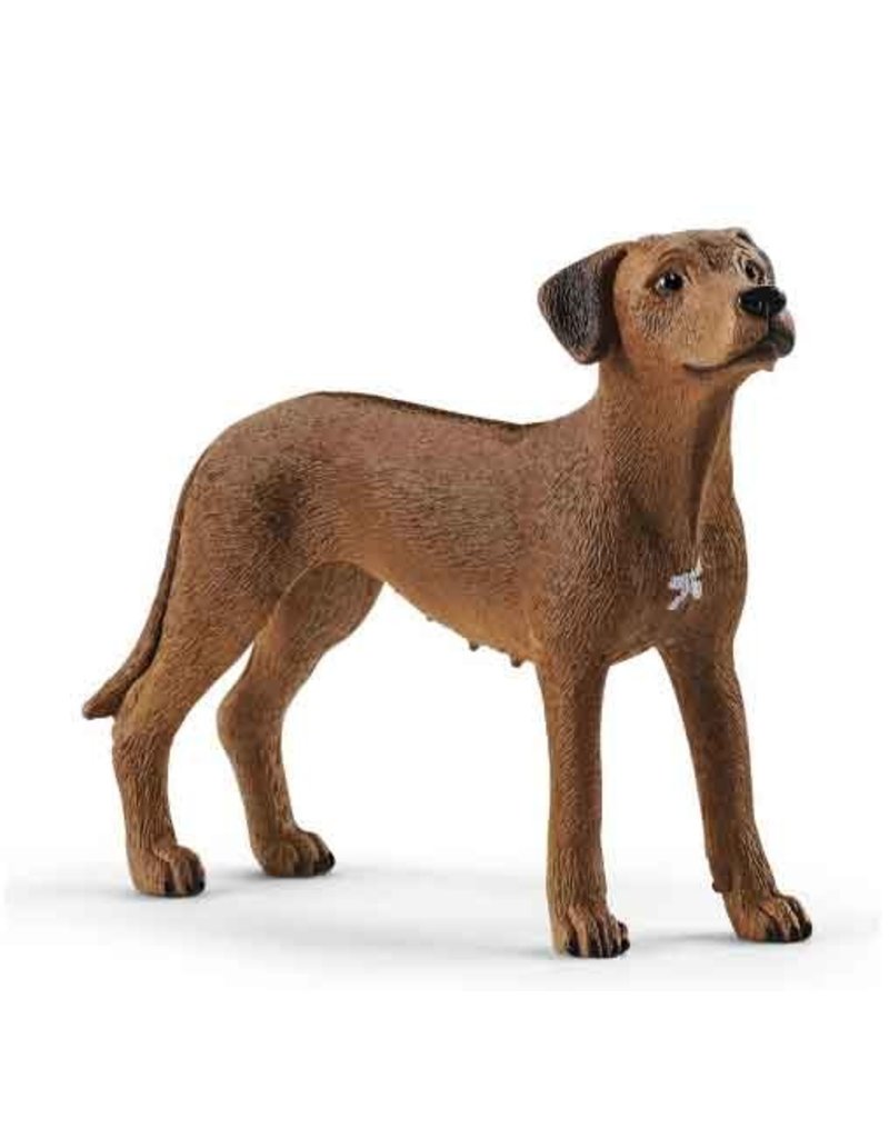 Schleich Schleich Dog 13895 - Rhodesian Ridgeback