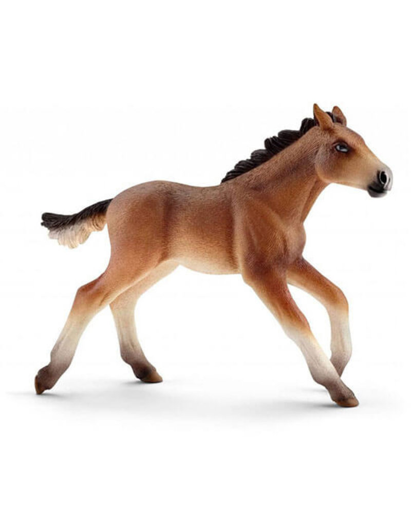 Schleich Schleich Horses 13807 - Mustang veulen