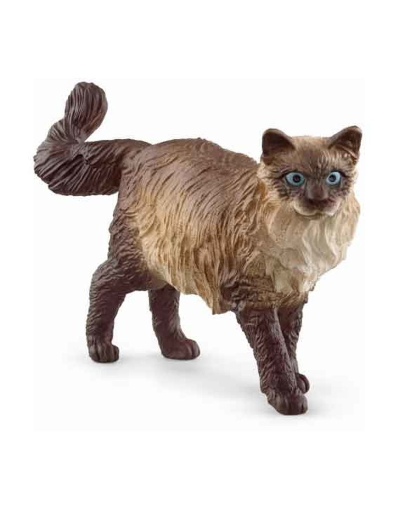 Schleich Schleich CAT 13940 - Ragdoll kat