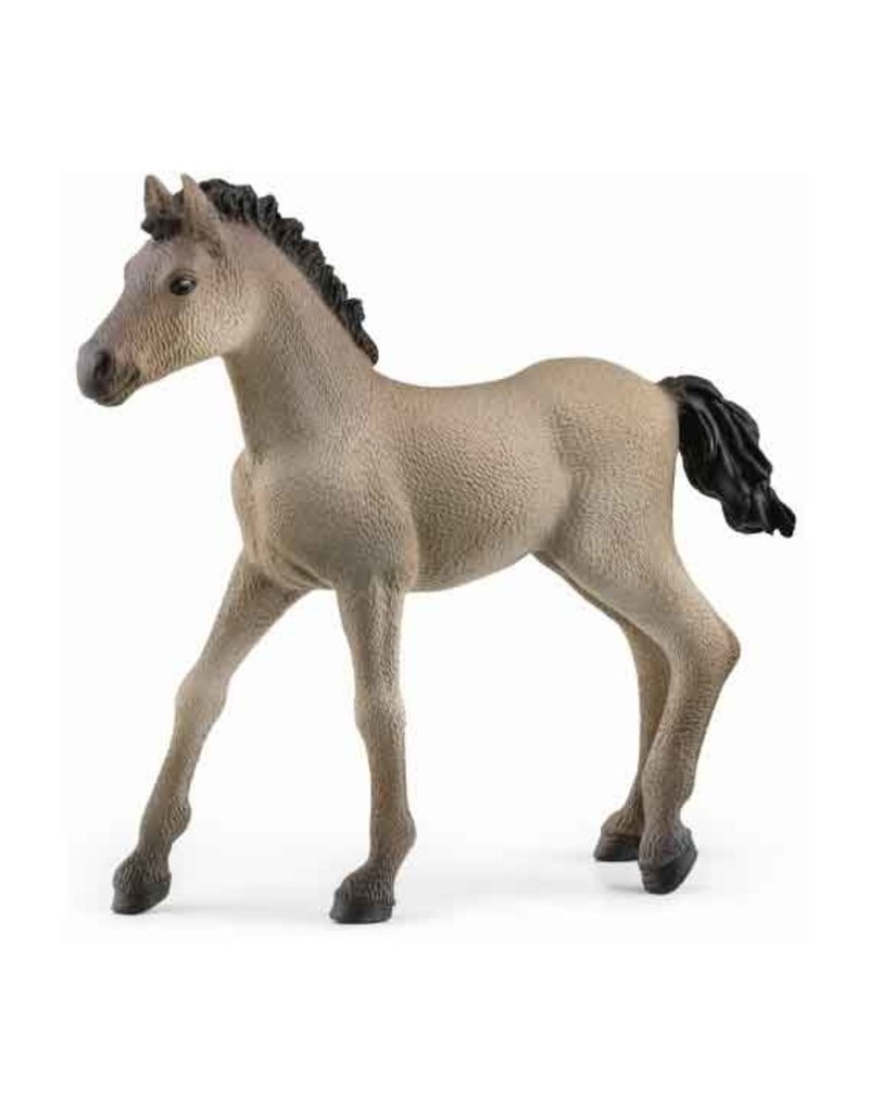 Schleich Schleich Horses 13949 - Criollo Definitivo veulen