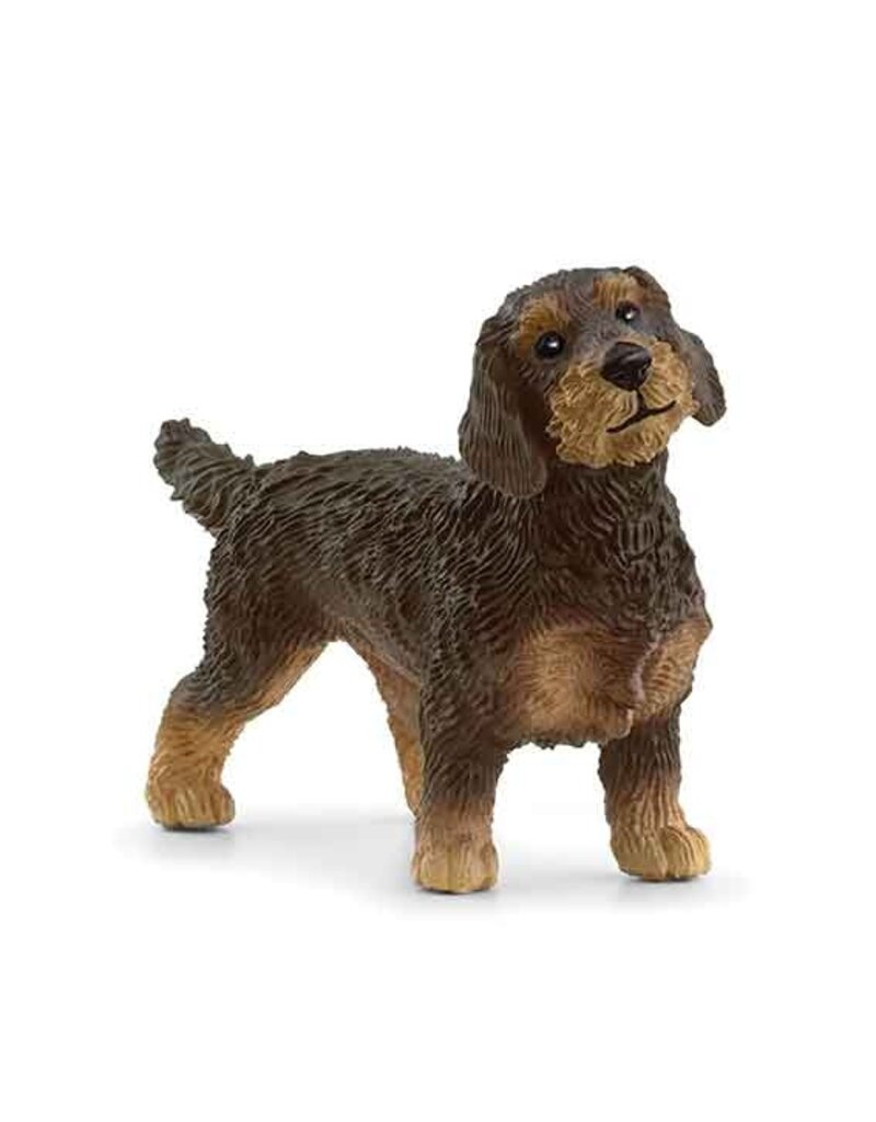 Schleich Schleich Dogs 13972- Teckel