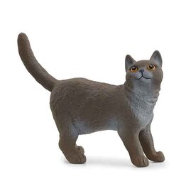 Schleich Schleich Cats 13973- Britse Korthaar Kat