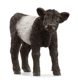 Schleich Schleich Farm 13969 - Galloway kalf