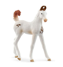 Schleich Schleich Horses 14896 - Marwari veulen