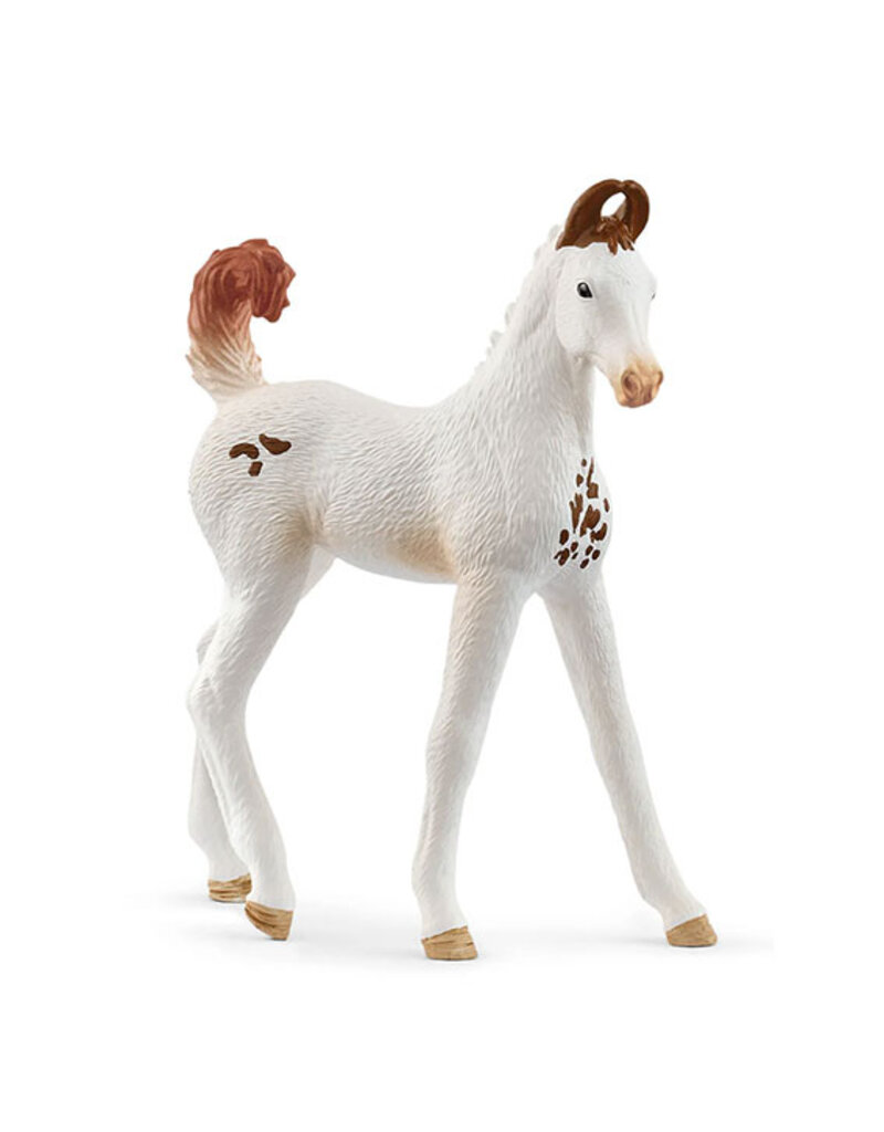 Schleich Schleich Horses 14896 - Marwari veulen