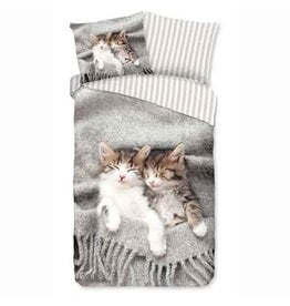 Dekbed Pure - slapende kittens