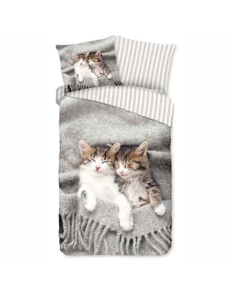 Dekbed Pure - slapende kittens
