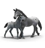 Schleich Schleich Horses 42776 - Lisa's toernooi trainingsset