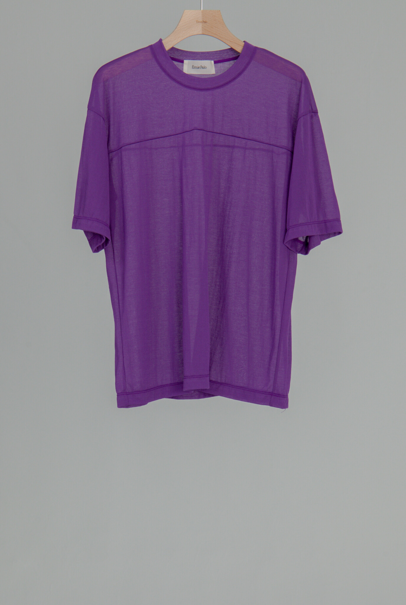 Sheer T-shirt Purple