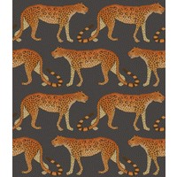 Leopard walk behangpapier Ardmore
