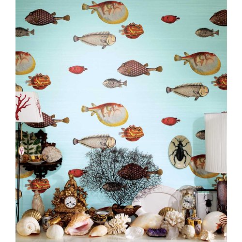 Cole & Son Acquario - Fornasetti