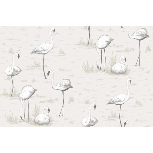 Cole & Son Flamingos behangpapier - Contemporary restyled