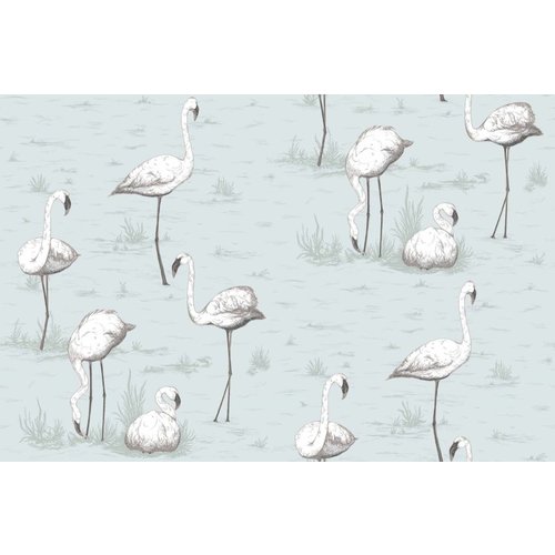 Cole & Son Flamingos behangpapier - Contemporary restyled