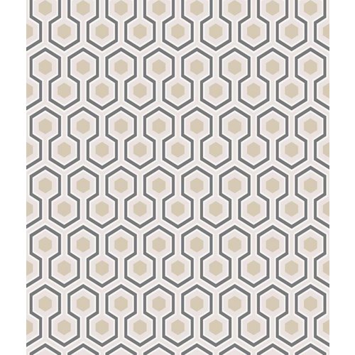 Cole & Son Hicks' Hexagon behangpapier - Contemporary restyled