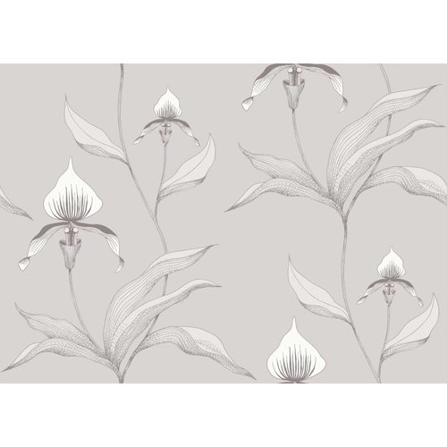 Cole & Son Orchid behangpapier - Contemporary restyled