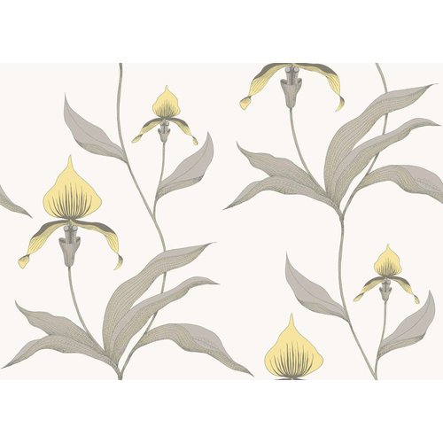 Cole & Son Orchid behangpapier - Contemporary restyled