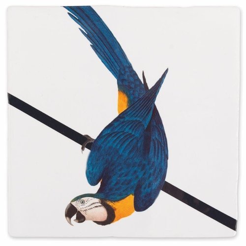 StoryTiles Blauwe papegaai tegel small StoryTiles Blauwe papegaai tegel small
