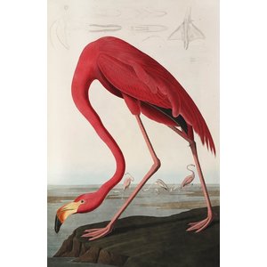 IXXI IXXI wanddecoratie - Flamingo/Audubon