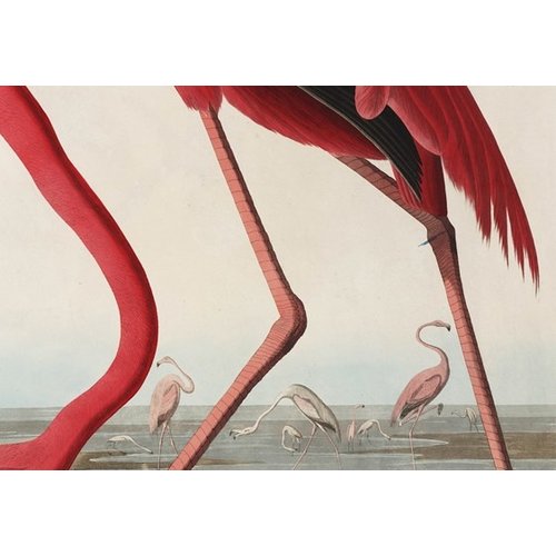 IXXI IXXI wanddecoratie - Flamingo/Audubon