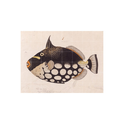 IXXI IXXI Wanddecoratie - Black Fish