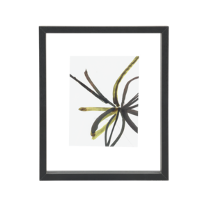 Urban Nature Culture Minimalism floating fotoframe zwart M