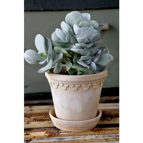 Bergs Potter Kopenhagen bloempot met schotel rose 30 cm