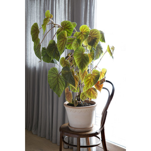 Bergs Potter Kopenhagen bloempot met schotel roze 25 cm