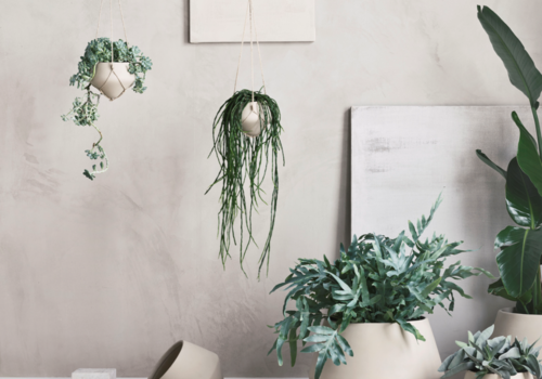 Pots de fleurs suspendus