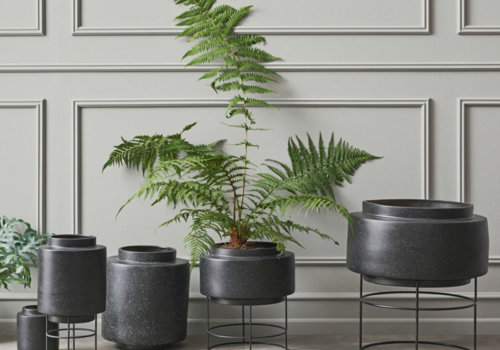 Pots de fleurs sur pied