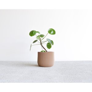 Minimum Design Lotus cache-pot nature Ø 5,5 cm