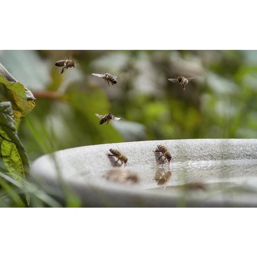 Denk Keramik Standaard RVS voor het vogelbad en vogelvoederhuis