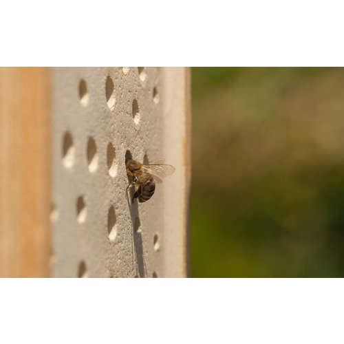 Denk Keramik Wilde bijenhuis Ceranatur®