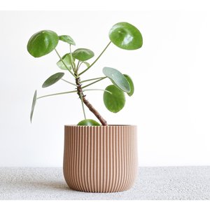 Minimum Design Lotus pot de fleurs naturel Ø 14 cm