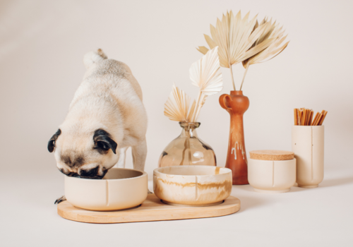 Gamelles pour chiens