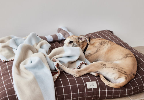 Couvertures pour chiens