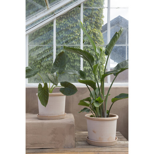 Bergs Potter Galestro bloempot met schotel roze 25 cm Bergs Potter Galestro bloempot met schotel roze 25 cm