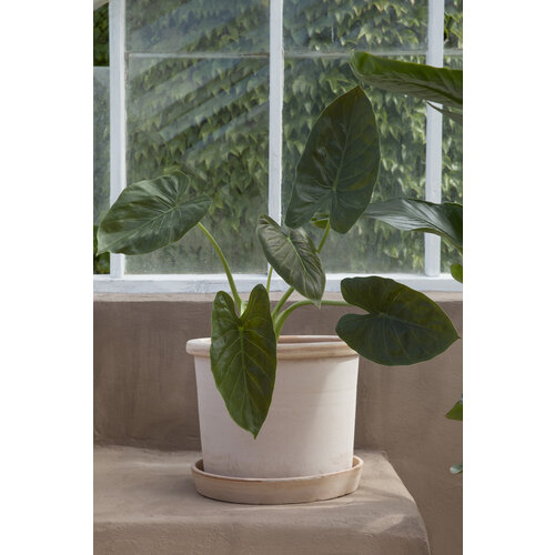 Bergs Potter Galestro bloempot met schotel roze 40 cm