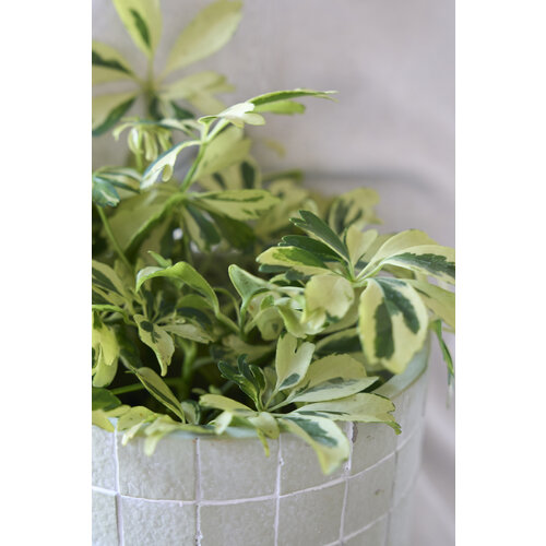D&M Metric bloempot pistache  Ø18cm