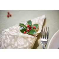 Dimapur Desert servetten - set van 4