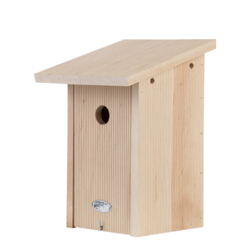 Nestkast koolmees Nestkast koolmees