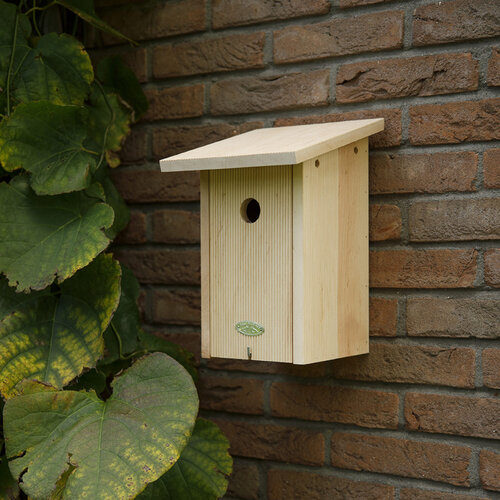 Nestkast koolmees Nestkast koolmees