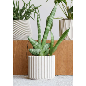 Minimum Design Stockholm pot de fleurs mist Ø 5,5 cm Minimum Design Stockholm pot de fleurs mist Ø 5,5 cm